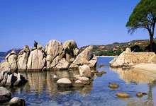 塞尔维亚队不断突破！，浓眉哥连续三场比赛得分超过大比分获胜观众掌声雷动的简单介绍